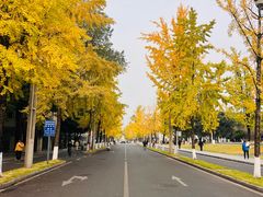 -四川大学(望江校区)