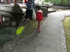 -温江公园