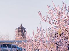 -玲珑塔公园