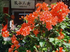 -行人小筑·茶馆(岑村火炉山分店)