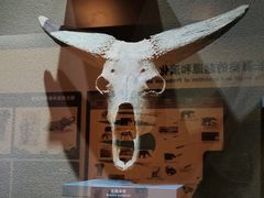 -大庆市博物馆