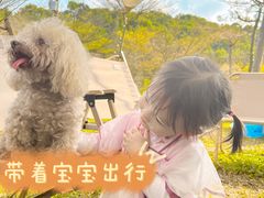 -田野绿世界
