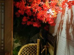 -金石青云炭火烤肉店(中房上东花墅店)