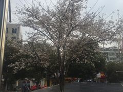 -绿地风尚天地广场