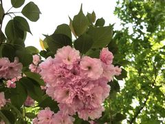 -回龙观体育文化公园