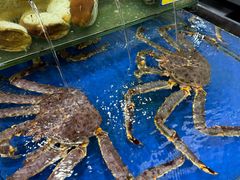 -东江海鲜酒家(艺都分店)