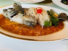 老虎斑-金轩中餐厅 Jin Xuan(浦东丽思卡尔顿酒店)