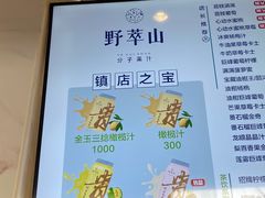 -野萃山·潮汕厚果汁(十亩地店)