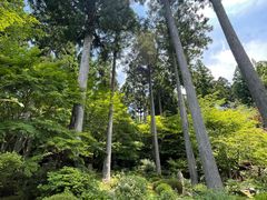 -三千院