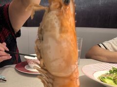 -圆苑(静安寺店)