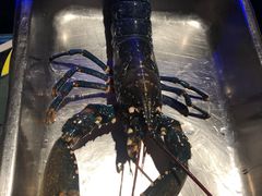 -AZUR聚(香格里拉饭店)