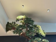 -蘇锦宴·淮扬菜烤鸭·小院(三元桥霄云路店)
