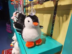 -多彩贵州城极地海洋世界