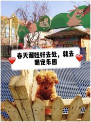 -萌宠亲子动物乐园(槐房万达店)