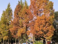 -白鹭湾湿地公园