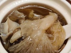 -新世纪大酒楼·30年南海菜