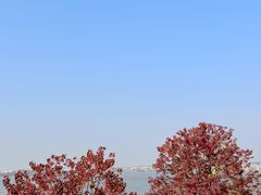 -艾溪湖湿地公园