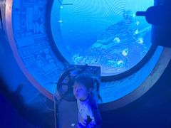 -海合安武汉极地海洋公园