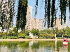 -团结湖公园