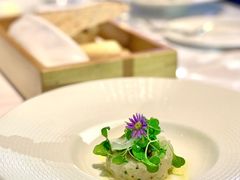 -蝶舍·MAISON PAPILLON