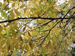 店内环境-大族广场Mall&More