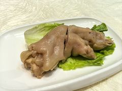 -丁老爷子苏香圆