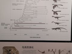 -四川大学博物馆