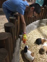 -宝燕乐园(闵行旗舰店)