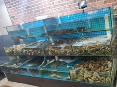 -同道蒸汽海鲜烧烤自助(刘庄夜市店)