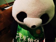 -眉州东坡·熊猫主题餐厅(枫蓝店)
