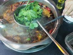 -金鼎雪山牦牛杂火锅(理县总店)