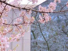 -龙美术馆(西岸馆)