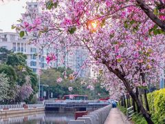 -文华公园(禅城区)