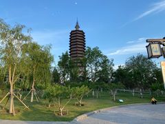 -西海子公园