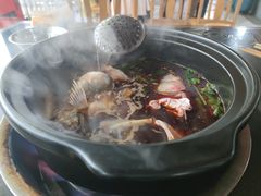 -老杨砂锅鱼庄