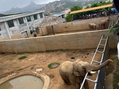 -西霞口神雕山野生动物世界