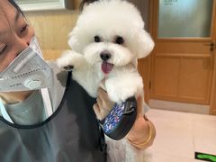 -帕帕拉兹宠物(亚洲旗舰店)