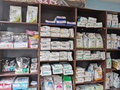 -瑞派·关忠动物医院·异宠专科·犬猫肿瘤·皮肤专科(望京店)