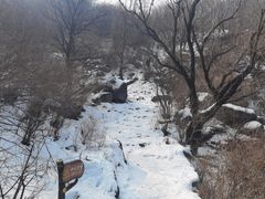 -阳台山自然风景区