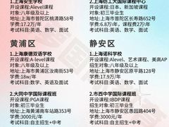 -菠萝国际教育专注Alevel·IGCSE·IB·AP·托福雅思培训辅导(静安校区)