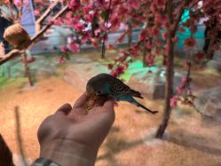 -酷嗒动物文化乐园(cutezoo西溪乐天城店)