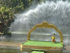 -西双版纳原始森林公园