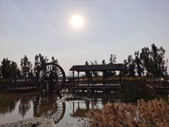 -漩门湾国家湿地公园