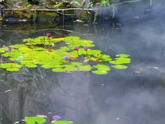 -大妙火锅·非物质文化遗产(东湖公园店)