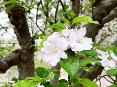 -元大都城垣遗址公园