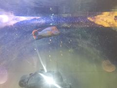 -常州海昌海洋探索馆