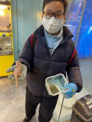 -神奇动物撸宠馆·羊驼·小浣熊·异宠(豫园店)