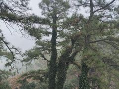 -敬亭山风景名胜区