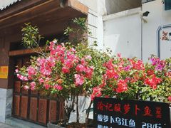 -大理.老字号渝记酸萝卜乌鱼(古城总店)