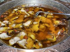 -雲蜀龙阁·金牌水煮鱼(方庄店)